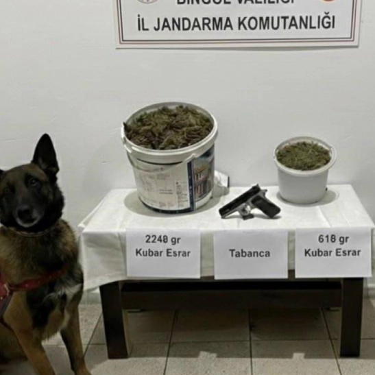 Bingöl'de uyuşturucu operasyonu: 3 gözaltı