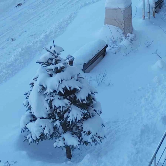 Erciş'te kar yağışı