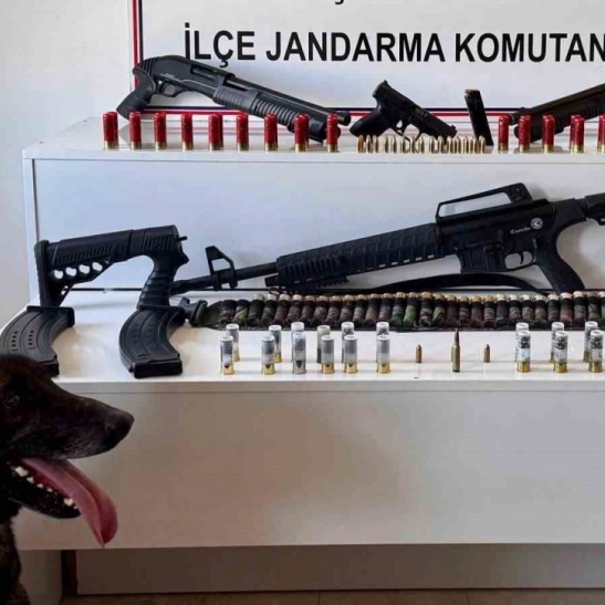 Erciş'te ruhsatsız silah ele geçirildi