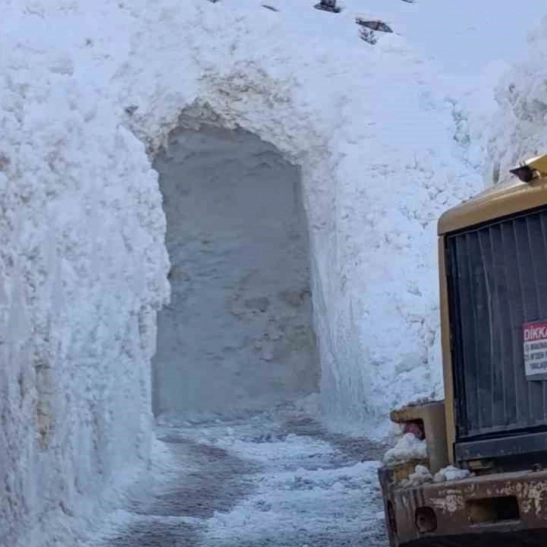 Kar esareti tünelle aşılıyor: Dikmetaş mezrasında yaşam koridoru