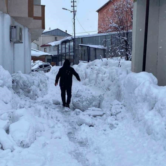 Karlıova'da 40 gündür süren kar yağışı hayatı zorlaştırıyor