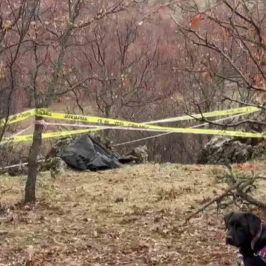 Kayıp genç ölü bulundu