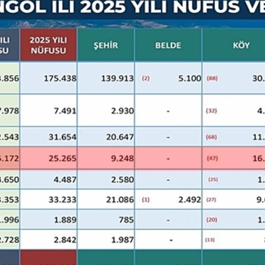TÜİK açıkladı: Karlıova’nın nüfusu 2025’te geriledi