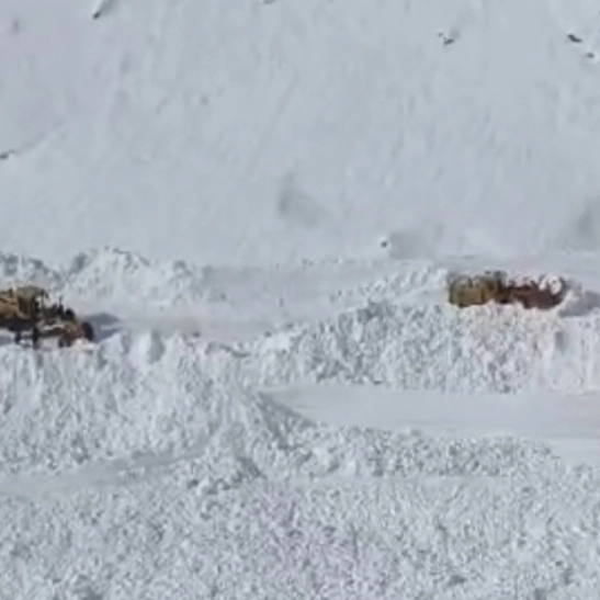 Van Bahçesaray'da mezra yoluna çığ düştü