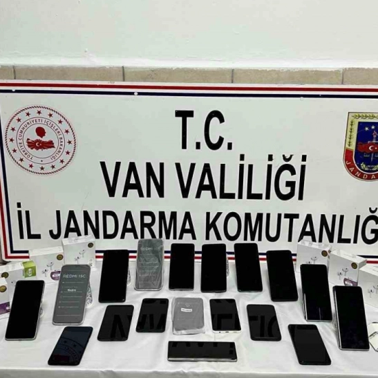 Van'da gümrük kaçakçılığı operasyonu