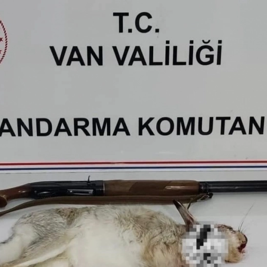 Van'da tavşan avlayan şahsa 29 bin TL ceza