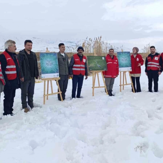 Van'da yaban hayvanları unutulmadı