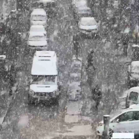 Van'da yoğun kar yağışı etkili oldu