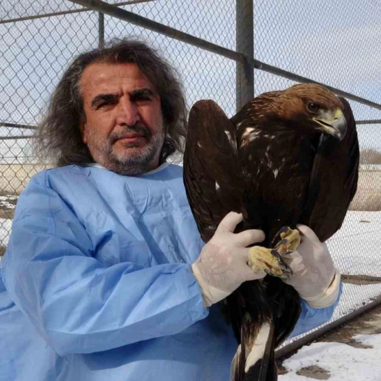 Van YYÜ'de yırtıcı kuşlar şifa bulup doğaya dönüyor