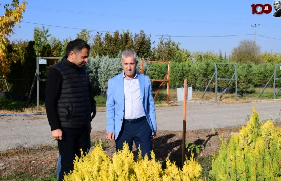 11 Kasım'da Dördüncü Etabında Ağaçlandırma Etkinliği Düzenlecek
