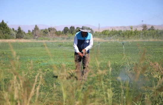 40 Bin Metrekarelik Alanda Yeşil Atılım