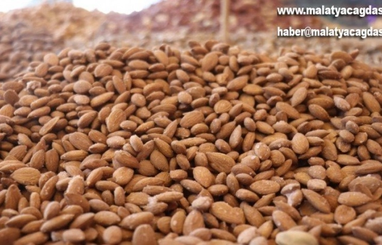 Kayısının çekirdeği de tescillendi