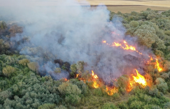 Ağrı'da ağaçlık alanda çıkan yangına müdahale ediliyor