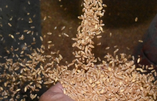 Ata Yadigarı Değirmende Beşinci Kuşak Mesai