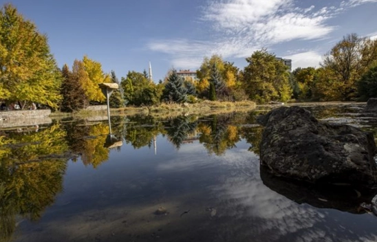 Atatürk Üniversitesi yerleşkesi ve Ata Botanik Bahçe'de sonbahar renkleri hakim oldu
