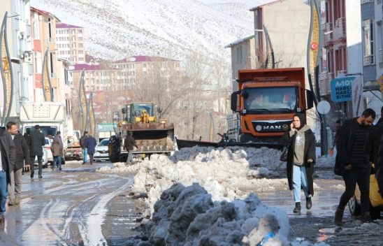 Bingöl'de kar nedeniyle kapanan köy yolları açıldı