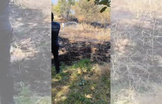 Boran Mahallesi'nde Kırsal Alanda Yangın Çıktı