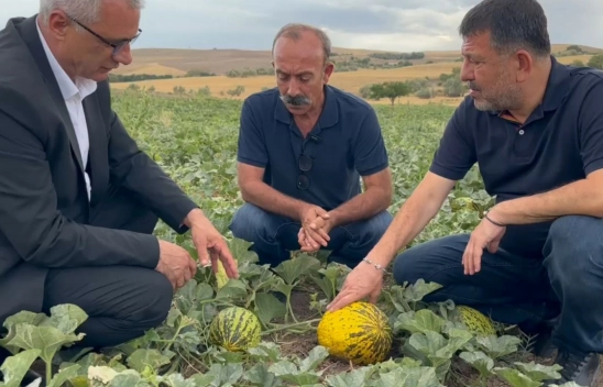 CHP'li Ağbaba: Malatya tarımı çökmüş durumda