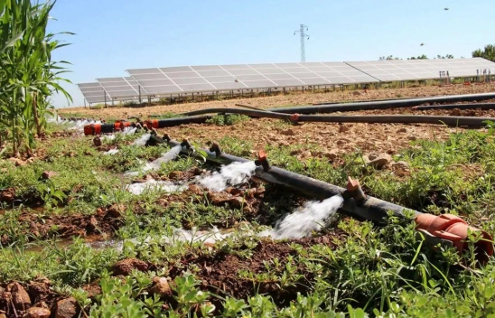 Çiftçiye Bereketli Ödeme: Destekler Yatırılıyor