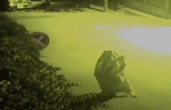 Çuvallı hırsız kameralara yakalandı