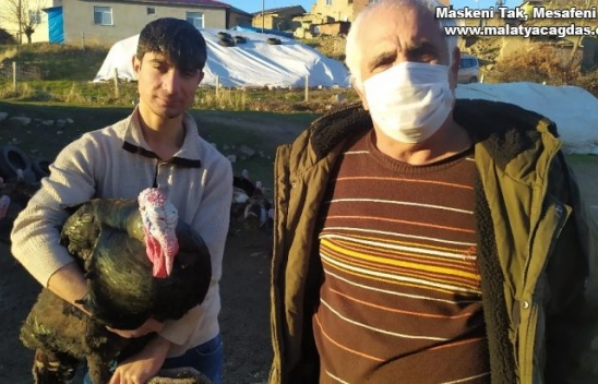 Elazığ'da pandemi ve yasaklar hindiye talebi azalttı