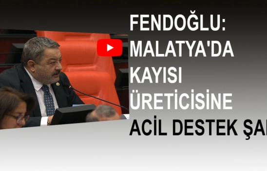 Fendoğlu: Malatya'da Kayısı Üreticisine Acil Destek Şart
