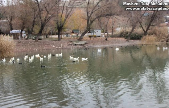 Gölbaşı gölleri kendisine hayran bırakıyor