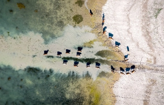 Karakaya Barajı'nda Su Seviyesi Alarm Veriyor: Eski Yerleşimler Ortaya Çıktı