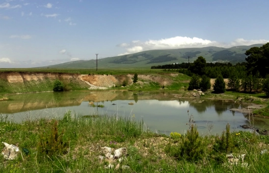 Kars'ta yumurtadan çıkan angutlar doğayla buluştu