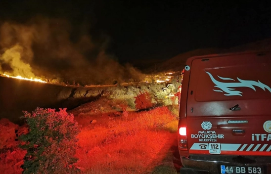 Malatya'da çıkan orman yangını söndürüldü