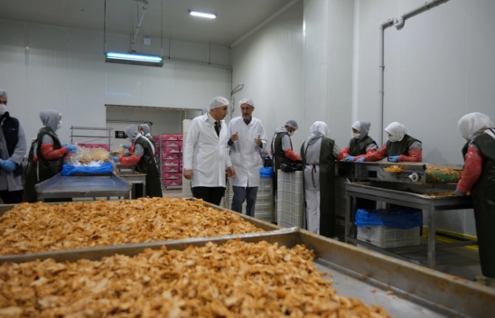 Malatya'da gıda işletmeleri denetlendi