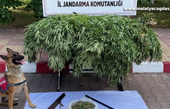 Uyuşturucu kaçakçılığına geçit yok