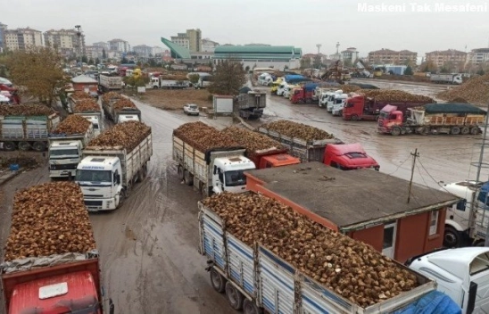 Şeker Fabrikası'nda son 30 yılın başarısı