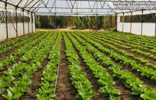 Organik Tarım Desteklemeleri müracaatları başladı