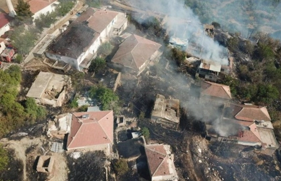 Otluk alanda çıkan yangın evlere sıçradı