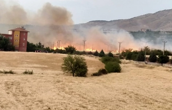 Otluk alanda çıkan yangın söndürüldü