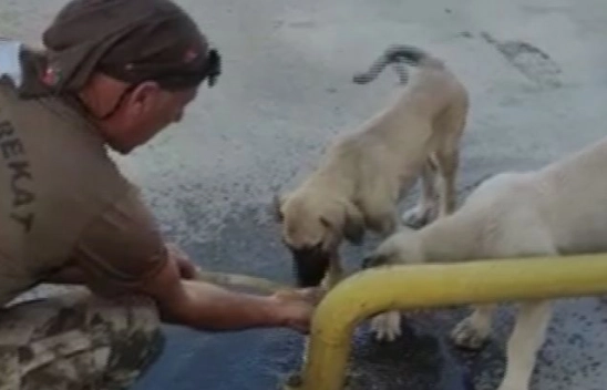 Özel harekat polisi yaptığı hareketle yürekleri ısıttı