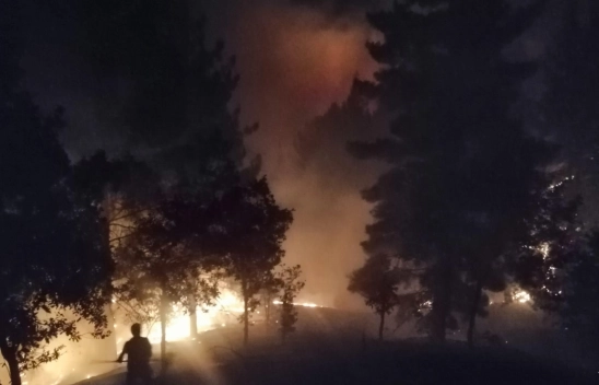 Pütürge'de 400 Dönüm ormanlık alan yandı