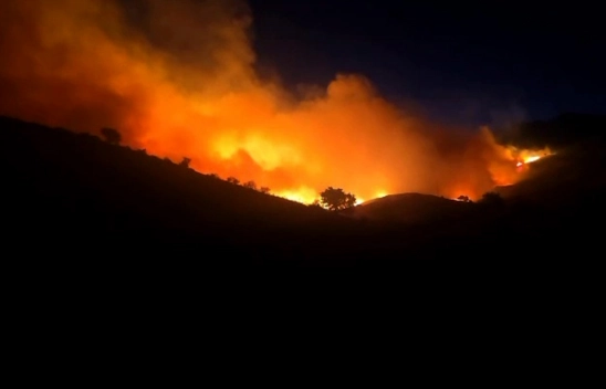 Rüzgarla Büyüyen Yangın Kontrol Altına Alındı