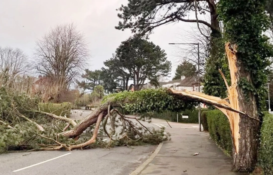 Sağanak ve Fırtına Yolda: İşte Uyarı Yapılan İller
