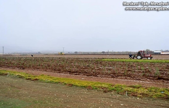 Süs bitkisi çeşitliliğini artırdı