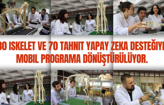 Tarihle Teknoloji Buluştu: Hayvan İskeletleri Yapay Zekâyla Dijitale Taşınıyor