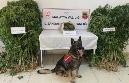 Uyuşturucu operasyonunda yakalanan zanlı tutuklandı