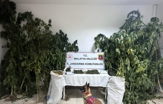 Uyuşturucu operasyonunda yakalanan 2 şüpheli tutuklandı