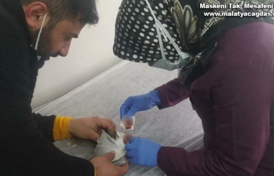 Yaralı güvercin Devlet Hastanesinde tedavi edildi