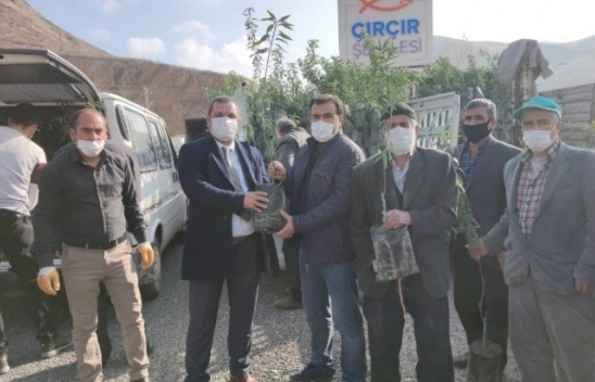 Yüzde 50 hibe destekli 27 bin fidan çiftçilere dağıtıldı