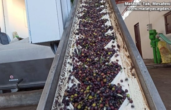 Zeytin bahçeleri tarıma dayalı sanayiyi geliştiriyor