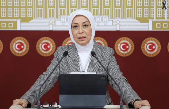 AK Partili Çalık: Malatya'yı yeniden inşa ve ihya edeceğiz