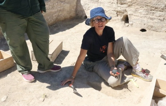 Arslantepe Höyüğü'ndeki kale duvarları restore ediliyor