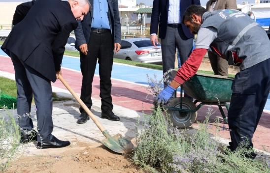 Başkan Çınar, Bostanbaşı Mahallesindeki Lavanta Parkı İnceledi